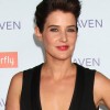Cobie Smulders 2013 Safe Haven Premiere