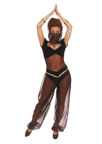 Belly dancer harem pants