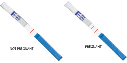 Pregnancy-test-dip-strip.jpg
