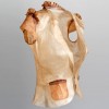 BioCouture-Fabric made from bacteria