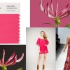 Pantone color of the year 2011-honeysuckle