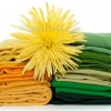 More Resistant Cotton fabric Developed by China