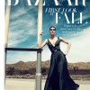 Hilary-Rhoda-Harpers-Bazaar-US-June-July-2011-1.jpg