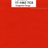 Pantone Color of the Year 2012 Tangerine Tango Pantone Color of the Year 2012 Tangerine Tango