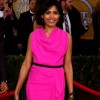 Freida Pinto Glows in Pink Gown at 2013 SAG Awards