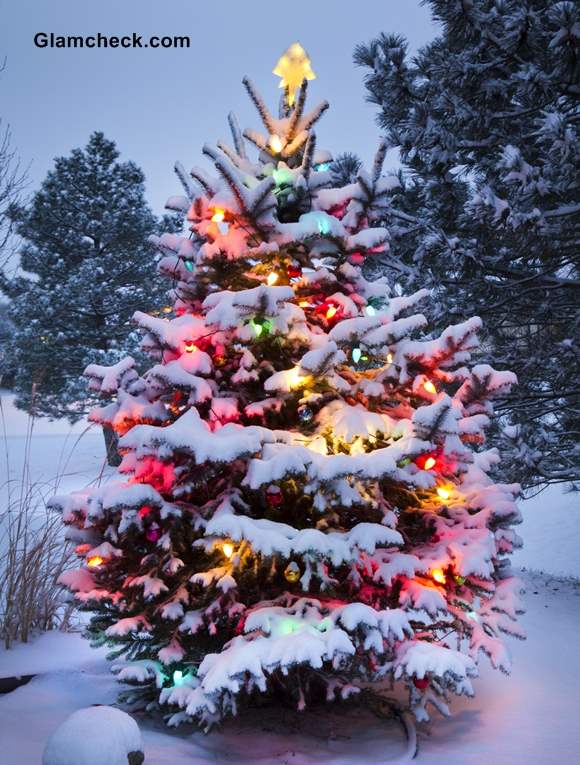 Outdoor Christmas Tree Decoration Ideas