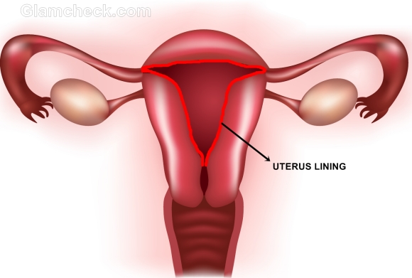  - Menstruation-uterus-lining