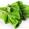 Spinach