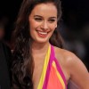 Evelyn Sharma for Wendell Rodricks at Blenders Pride Fashion Tour 2012