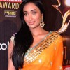 Jiah Khan 2013 Annual Colors Screen Awards