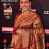 Vidya Balan 2013 In Kanjeevaram At The 19th Annual Colors Screen Awards