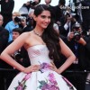 Sonam Kapoor in Floral Princess Gown at Cannes Film Festival 2013