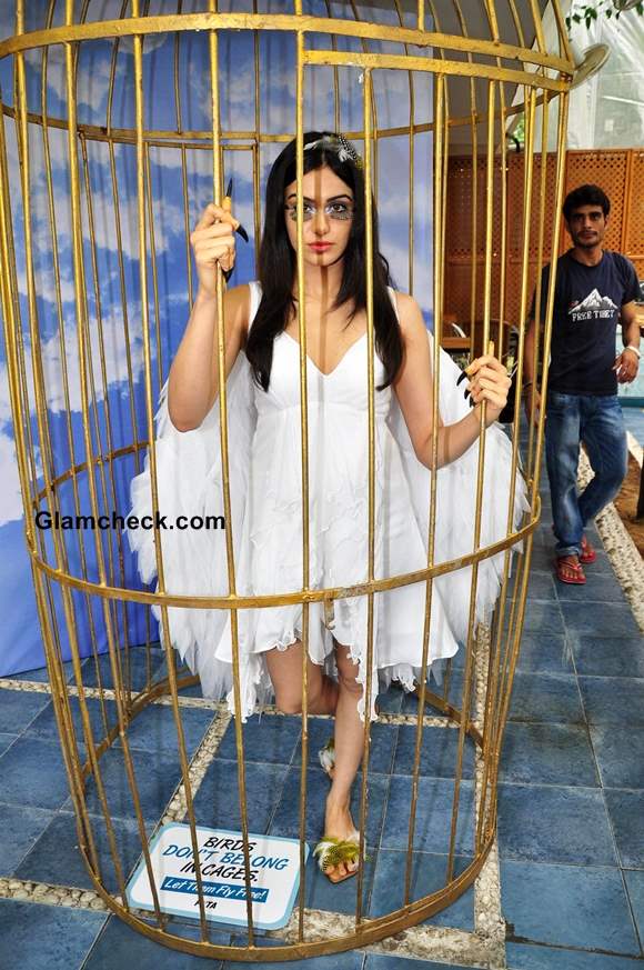 Adah Sharma PETA Bird-loving Ad Campaign