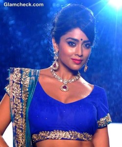 Shriya Saran-at 8th Annual Caring at a Style Fashion Show