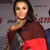 Vidya Balan 2013 pictures