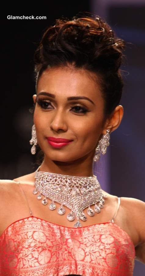 IIJW 2013  Moni Agrawal