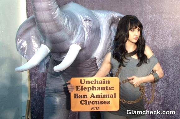 Lauren Gottlieb for PETA Anti-Circus Campaign Photoshoot