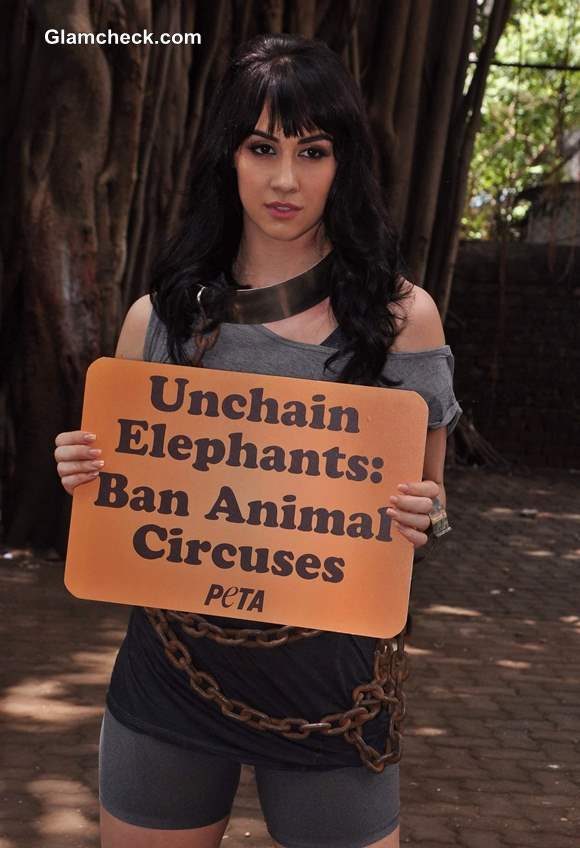 Lauren Gottlieb in PETA Anti-Circus Campaign