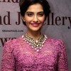 Sonam Kapoor 2013 pictures lace dress