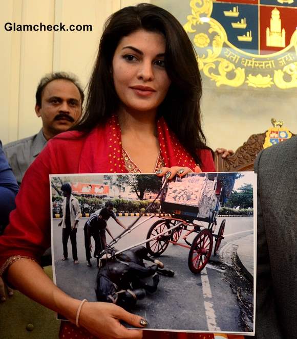 Jacqueline Fernandez Fights to Ban Horse-drawn Carriages pictures