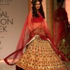 Aamby Valley IBFW 2013- Mumbai Falguni and Shane Peacock Collection