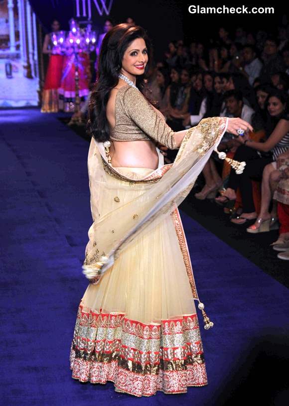 IIJW 2014 Sridevi