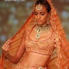 Tarun Tahiliani Bridal collection 2014