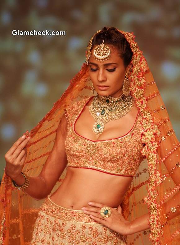 Tarun Tahiliani Bridal collection 2014