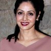 Sridevi 2014