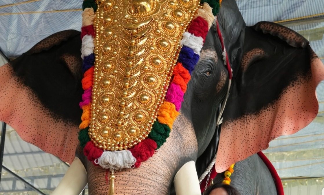 Richa Chadha Celebrates Onam in Kerala Gifts Mechanical Elephant to Temple