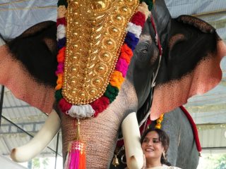 Richa Chadha Celebrates Onam in Kerala Gifts Mechanical Elephant to Temple
