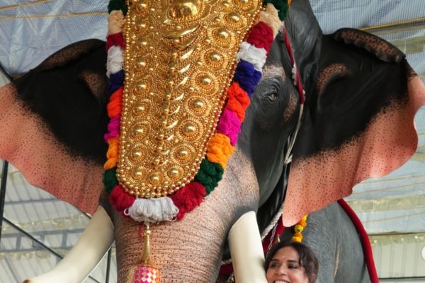 Richa Chadha Celebrates Onam in Kerala Gifts Mechanical Elephant to Temple