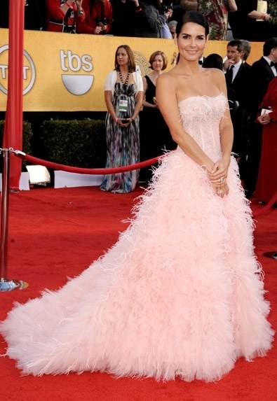 Angie Harmon in feathered gown at 2011 SAG Awards