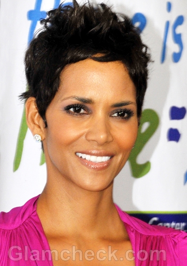 Restraining-order-against-halle-Berry-stalker