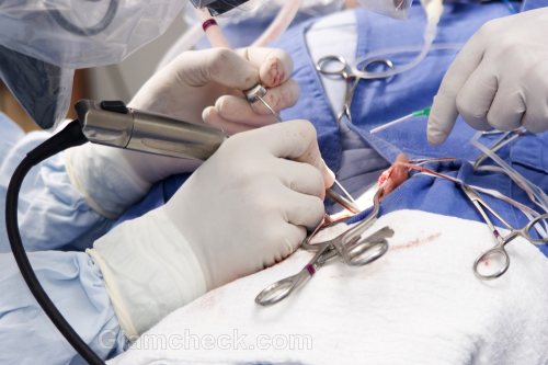 Worlds First Artificial Organ Transplant