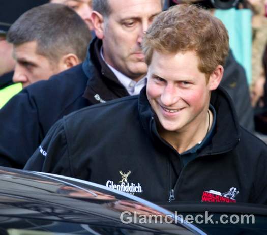 Will Prince Harry Strip for Playgirl