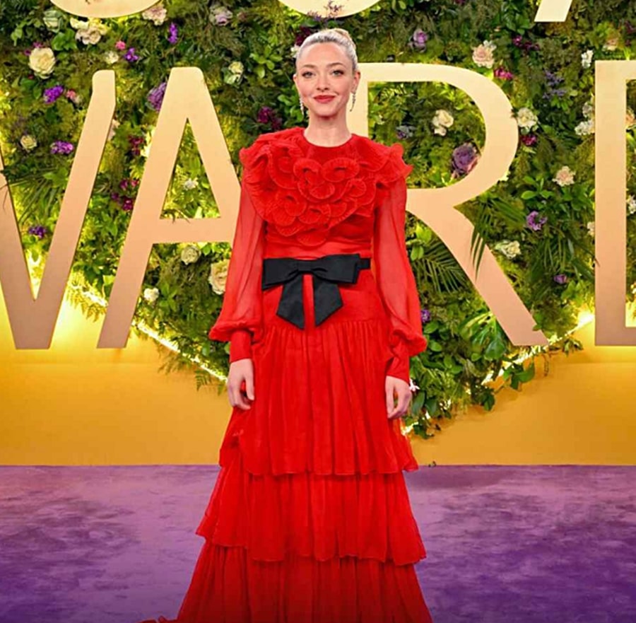 Amanda Seyfried 2025
