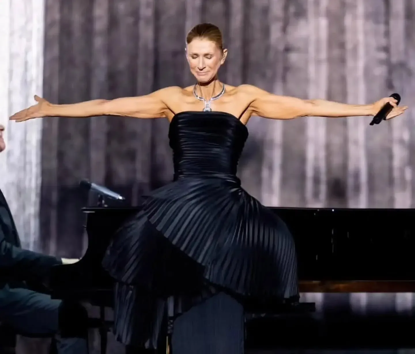 Celine Dion Paris concert after 6 years