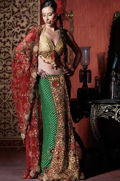 Royal Indian costume