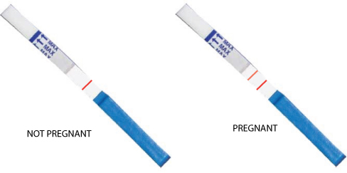 strips test of types pregnancy Different test types Blood Urine test, tests: pregnancy of