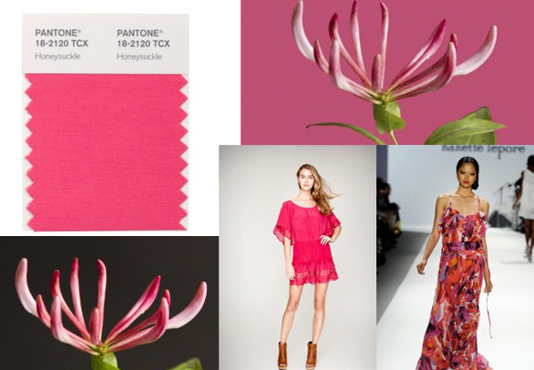 Pantone color of the year 2011-honeysuckle