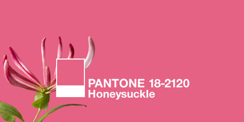 Pantone declares Honeysuckle as the color of 2011