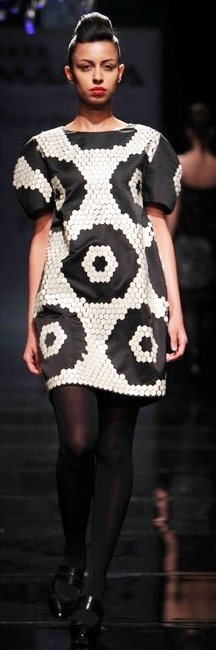 Designer Rajesh Pratap Singh A-W 2011-3