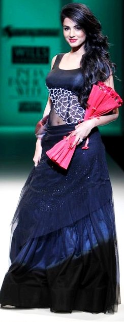 Designer Sadan Pande A-W 2011-2