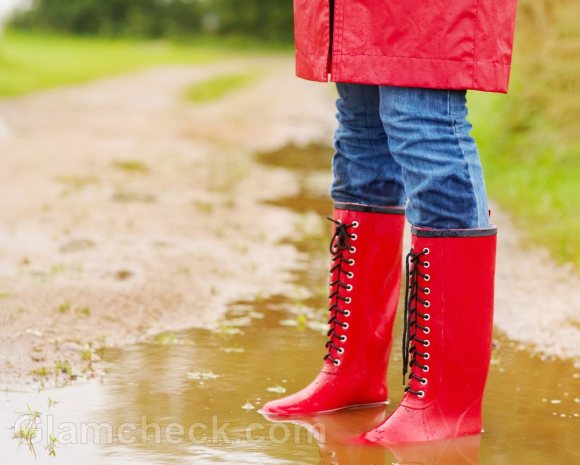 monsoon accessories gumboots