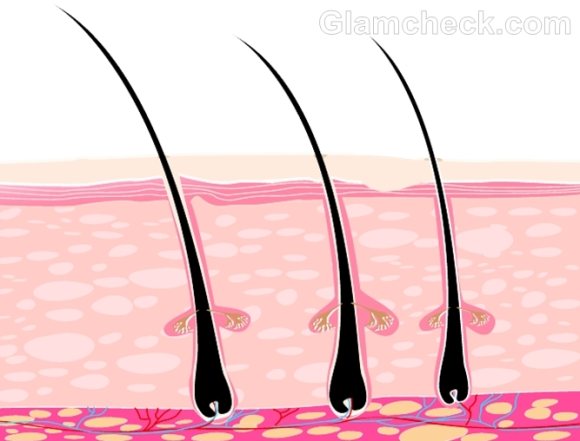 oily scalp causes