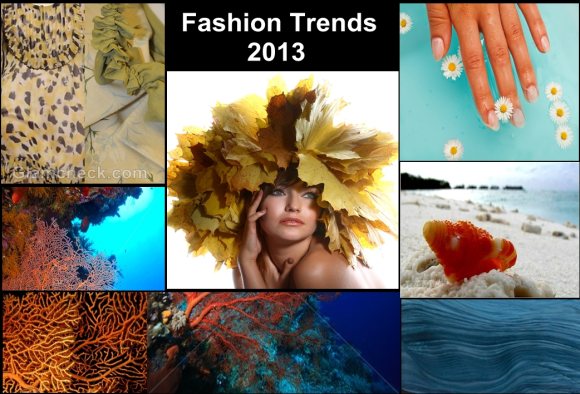 Fashion trends 2013