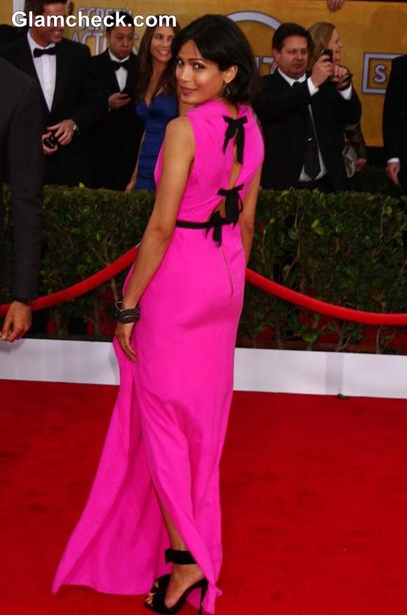 Freida Pinto Pink Gown 2013 SAG Awards