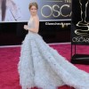 Amy Adams gown at Oscars 2013