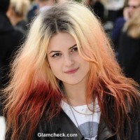 Celebrity Hair Color Alison Mosshart Multi-toned Hair